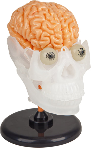 SmartLab Toys The Amazing Squishy Brain